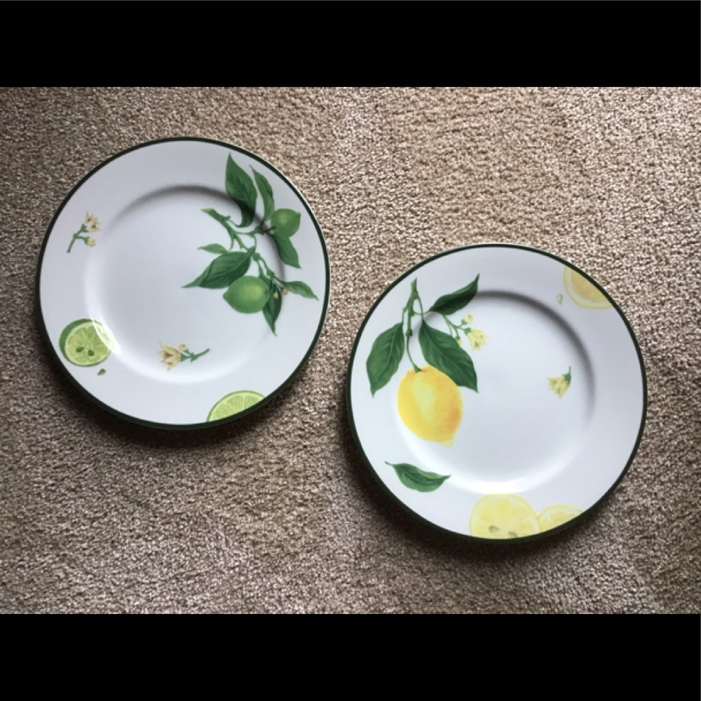 Williams Sonoma Citrus Grove salad plates-Produced in Japan